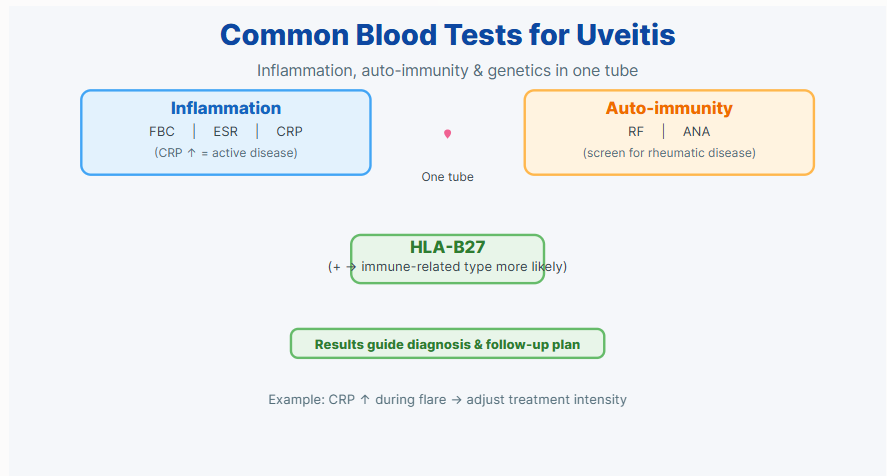 葡萄膜炎19. 常见血液检查_1.png