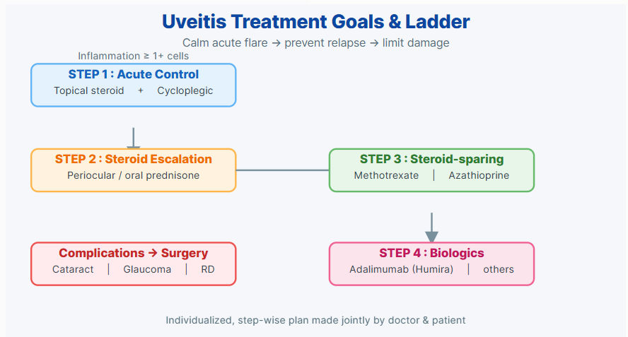 葡萄膜炎8. 葡萄膜炎怎么治疗?_1.png